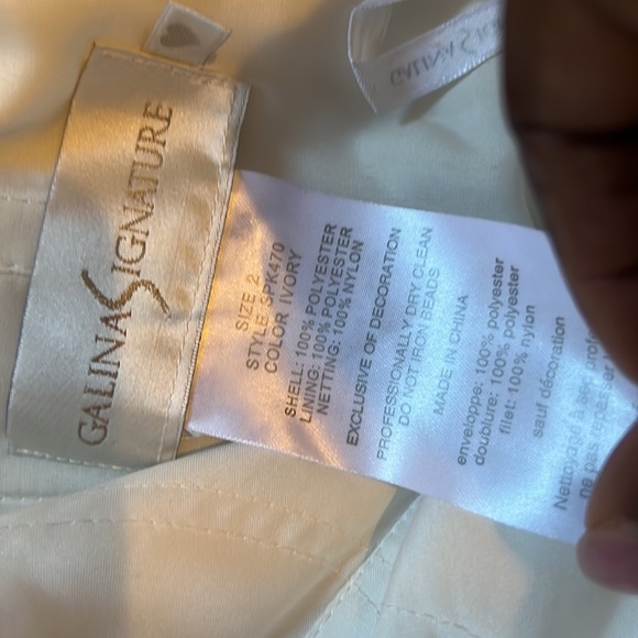 Prom/Wedding Galina Signature Dress - Picture 4 of 4